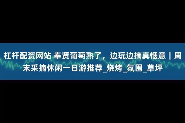 杠杆配资网站 奉贤葡萄熟了，边玩边摘真惬意｜周末采摘休闲一日游推荐_烧烤_氛围_草坪