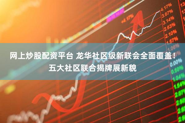 网上炒股配资平台 龙华社区级新联会全面覆盖！五大社区联合揭牌展新貌