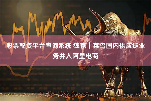 股票配资平台查询系统 独家｜菜鸟国内供应链业务并入阿里电商